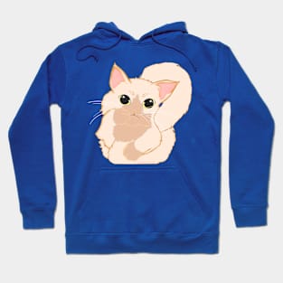 Angel The Siamese Kitten Hoodie